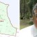 Media release 11.12.15 David Lewis to nominate for division 6.